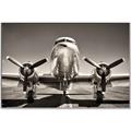 Picture of On the Runway _GroupedProduct_Rectangle_Landscape_Photography _GroupedProduct_Rectangle_Landscape_Canvas_Framed_