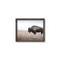 Picture of Bison Field _GroupedProduct_Rectangle_Landscape_Photography _GroupedProduct_Rectangle_Landscape_Canvas_Framed_