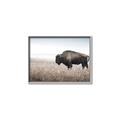 Picture of Bison Field _GroupedProduct_Rectangle_Landscape_Photography _GroupedProduct_Rectangle_Landscape_Canvas_Framed_