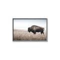 Picture of Bison Field _GroupedProduct_Rectangle_Landscape_Photography _GroupedProduct_Rectangle_Landscape_Canvas_Framed_