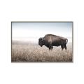 Picture of Bison Field _GroupedProduct_Rectangle_Landscape_Photography _GroupedProduct_Rectangle_Landscape_Canvas_Framed_