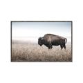 Picture of Bison Field _GroupedProduct_Rectangle_Landscape_Photography _GroupedProduct_Rectangle_Landscape_Canvas_Framed_