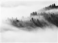 Picture of Mystic foggy forest _GroupedProduct_Rectangle_Landscape_Photography _GroupedProduct_Rectangle_Landscape_Unframed_Print_Only_