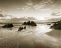 Picture of Shore at Dusk _GroupedProduct_Rectangle_Landscape_Photography _GroupedProduct_Rectangle_Landscape_Unframed_Print_Only_