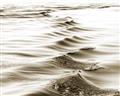 Picture of Moving Water _GroupedProduct_Rectangle_Landscape_Photography _GroupedProduct_Rectangle_Landscape_Unframed_Print_Only_