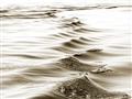 Picture of Moving Water _GroupedProduct_Rectangle_Landscape_Photography _GroupedProduct_Rectangle_Landscape_Unframed_Print_Only_
