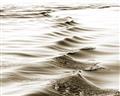 Picture of Moving Water _GroupedProduct_Rectangle_Landscape_Photography _GroupedProduct_Rectangle_Landscape_Unframed_Print_Only_
