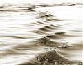 Picture of Moving Water _GroupedProduct_Rectangle_Landscape_Photography _GroupedProduct_Rectangle_Landscape_Unframed_Print_Only_