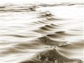 Picture of Moving Water _GroupedProduct_Rectangle_Landscape_Photography _GroupedProduct_Rectangle_Landscape_Unframed_Print_Only_