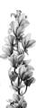Picture of Orchid Flowers I  _GroupedProduct_Panel_Portrait_Photography _GroupedProduct_Panel_Portrait_Unframed_Print_Only_
