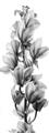 Picture of Orchid Flowers I  _GroupedProduct_Panel_Portrait_Photography _GroupedProduct_Panel_Portrait_Unframed_Print_Only_