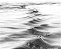 Picture of Moving Water _GroupedProduct_Rectangle_Landscape_Photography _GroupedProduct_Rectangle_Landscape_Unframed_Print_Only_
