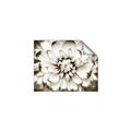 Picture of Black and White Flower _GroupedProduct_Rectangle_Landscape_Photography _GroupedProduct_Rectangle_Landscape_Unframed_Print_Only_