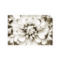 Picture of Black and White Flower _GroupedProduct_Rectangle_Landscape_Photography _GroupedProduct_Rectangle_Landscape_Unframed_Print_Only_