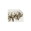 Picture of Flower isolated _GroupedProduct_Rectangle_Landscape_Photography _GroupedProduct_Rectangle_Landscape_Unframed_Print_Only_