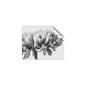 Picture of Flower isolated _GroupedProduct_Rectangle_Landscape_Photography _GroupedProduct_Rectangle_Landscape_Unframed_Print_Only_