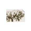 Picture of Flower isolated _GroupedProduct_Rectangle_Landscape_Photography _GroupedProduct_Rectangle_Landscape_Unframed_Print_Only_