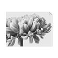 Picture of Flower isolated _GroupedProduct_Rectangle_Landscape_Photography _GroupedProduct_Rectangle_Landscape_Unframed_Print_Only_