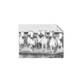 Picture of White Horses _GroupedProduct_Rectangle_Landscape_Photography _GroupedProduct_Rectangle_Landscape_Unframed_Print_Only_