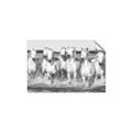 Picture of White Horses _GroupedProduct_Rectangle_Landscape_Photography _GroupedProduct_Rectangle_Landscape_Unframed_Print_Only_