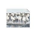 Picture of White Horses _GroupedProduct_Rectangle_Landscape_Photography _GroupedProduct_Rectangle_Landscape_Unframed_Print_Only_