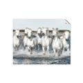 Picture of White Horses _GroupedProduct_Rectangle_Landscape_Photography _GroupedProduct_Rectangle_Landscape_Unframed_Print_Only_