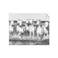 Picture of White Horses _GroupedProduct_Rectangle_Landscape_Photography _GroupedProduct_Rectangle_Landscape_Unframed_Print_Only_