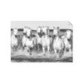 Picture of White Horses _GroupedProduct_Rectangle_Landscape_Photography _GroupedProduct_Rectangle_Landscape_Unframed_Print_Only_