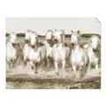 Picture of White Horses _GroupedProduct_Rectangle_Landscape_Photography _GroupedProduct_Rectangle_Landscape_Unframed_Print_Only_