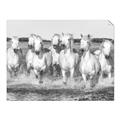 Picture of White Horses _GroupedProduct_Rectangle_Landscape_Photography _GroupedProduct_Rectangle_Landscape_Unframed_Print_Only_