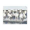 Picture of White Horses _GroupedProduct_Rectangle_Landscape_Photography _GroupedProduct_Rectangle_Landscape_Unframed_Print_Only_