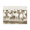 Picture of White Horses _GroupedProduct_Rectangle_Landscape_Photography _GroupedProduct_Rectangle_Landscape_Unframed_Print_Only_