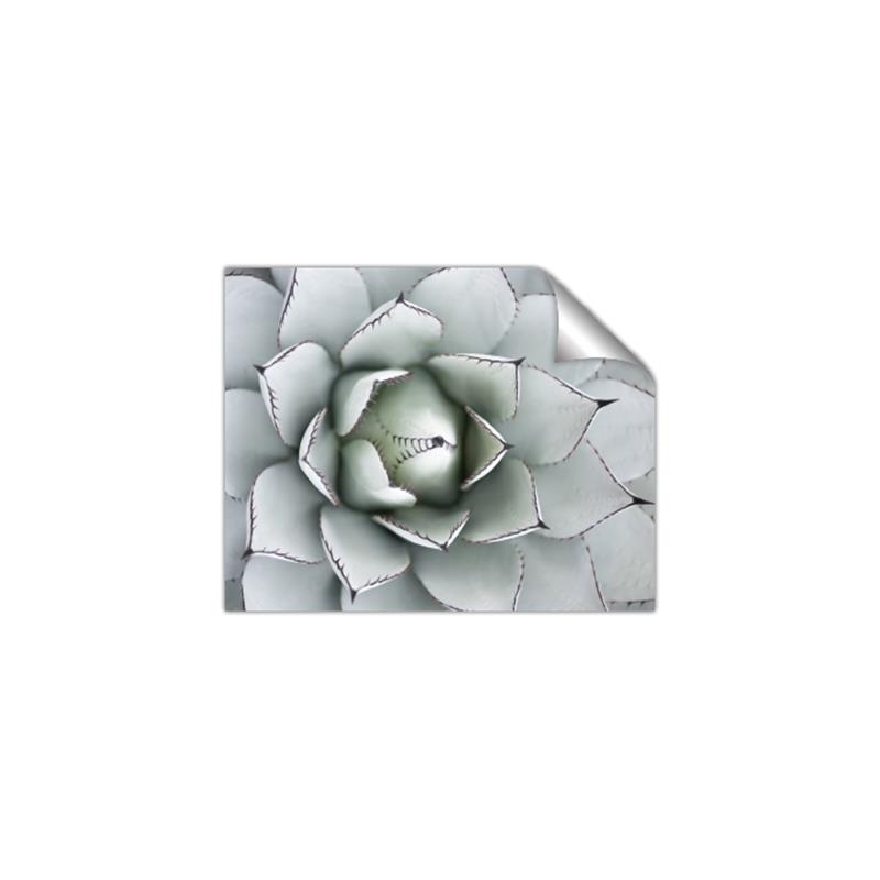 Picture of Landscaped flower Bed _GroupedProduct_Rectangle_Landscape_Photography _GroupedProduct_Rectangle_Landscape_Unframed_Print_Only_