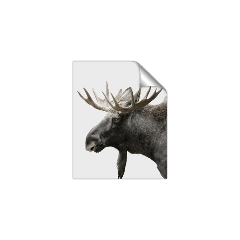 Picture of Moose _GroupedProduct_Rectangle_Portrait_Photography _GroupedProduct_Rectangle_Portrait_Unframed_Print_Only_