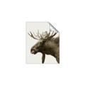 Picture of Moose _GroupedProduct_Rectangle_Portrait_Photography _GroupedProduct_Rectangle_Portrait_Unframed_Print_Only_