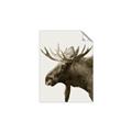 Picture of Moose _GroupedProduct_Rectangle_Portrait_Photography _GroupedProduct_Rectangle_Portrait_Unframed_Print_Only_