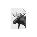 Picture of Moose _GroupedProduct_Rectangle_Portrait_Photography _GroupedProduct_Rectangle_Portrait_Unframed_Print_Only_
