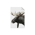 Picture of Moose _GroupedProduct_Rectangle_Portrait_Photography _GroupedProduct_Rectangle_Portrait_Unframed_Print_Only_
