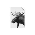 Picture of Moose _GroupedProduct_Rectangle_Portrait_Photography _GroupedProduct_Rectangle_Portrait_Unframed_Print_Only_