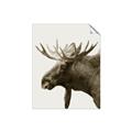 Picture of Moose _GroupedProduct_Rectangle_Portrait_Photography _GroupedProduct_Rectangle_Portrait_Unframed_Print_Only_