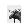 Picture of Moose _GroupedProduct_Rectangle_Portrait_Photography _GroupedProduct_Rectangle_Portrait_Unframed_Print_Only_
