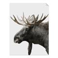 Picture of Moose _GroupedProduct_Rectangle_Portrait_Photography _GroupedProduct_Rectangle_Portrait_Unframed_Print_Only_