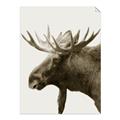 Picture of Moose _GroupedProduct_Rectangle_Portrait_Photography _GroupedProduct_Rectangle_Portrait_Unframed_Print_Only_