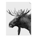 Picture of Moose _GroupedProduct_Rectangle_Portrait_Photography _GroupedProduct_Rectangle_Portrait_Unframed_Print_Only_