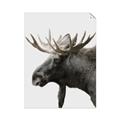 Picture of Moose _GroupedProduct_Rectangle_Portrait_Photography _GroupedProduct_Rectangle_Portrait_Unframed_Print_Only_