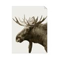 Picture of Moose _GroupedProduct_Rectangle_Portrait_Photography _GroupedProduct_Rectangle_Portrait_Unframed_Print_Only_