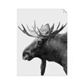 Picture of Moose _GroupedProduct_Rectangle_Portrait_Photography _GroupedProduct_Rectangle_Portrait_Unframed_Print_Only_