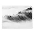 Picture of Mystic foggy forest _GroupedProduct_Rectangle_Landscape_Photography _GroupedProduct_Rectangle_Landscape_Unframed_Print_Only_