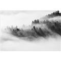 Picture of Mystic foggy forest _GroupedProduct_Rectangle_Landscape_Photography _GroupedProduct_Rectangle_Landscape_Unframed_Print_Only_