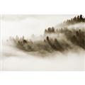 Picture of Mystic foggy forest _GroupedProduct_Rectangle_Landscape_Photography _GroupedProduct_Rectangle_Landscape_Unframed_Print_Only_